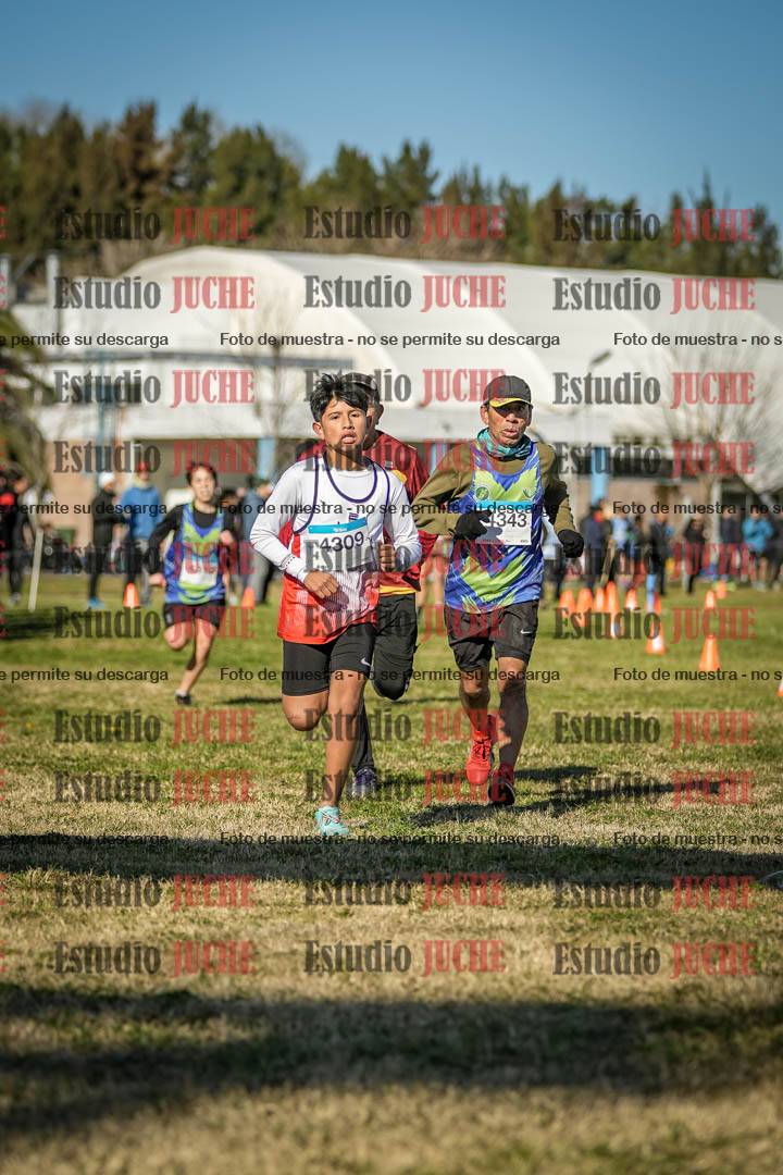Fotos de las llegadas