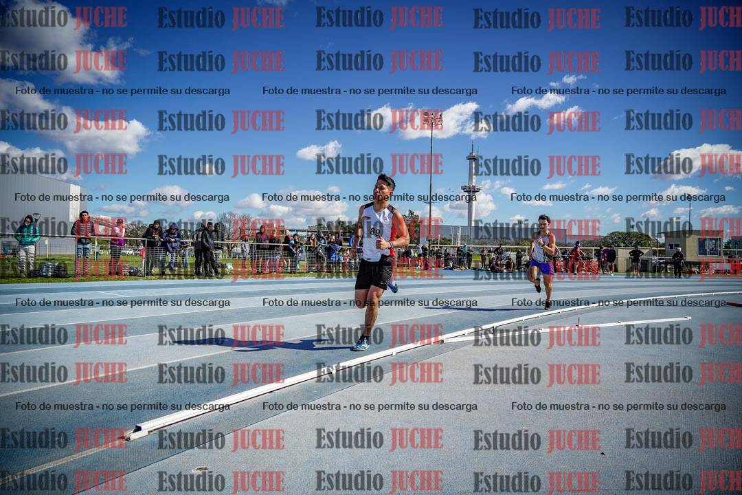Fotos de los 800 m llanos de varones