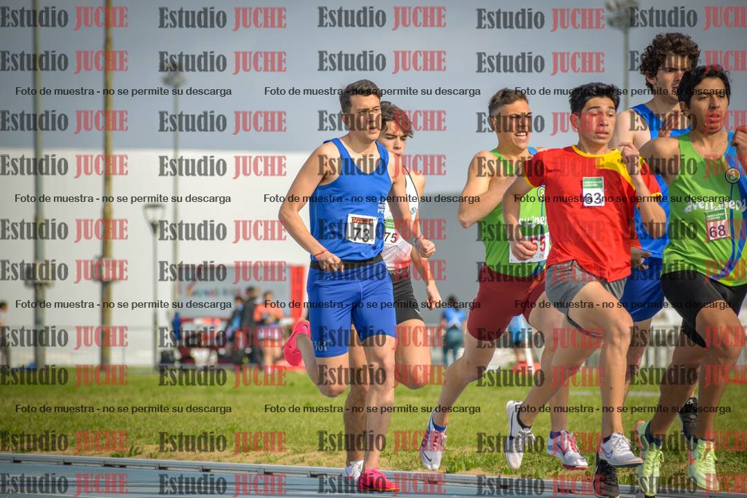 Fotos de los 800 m llanos de varones