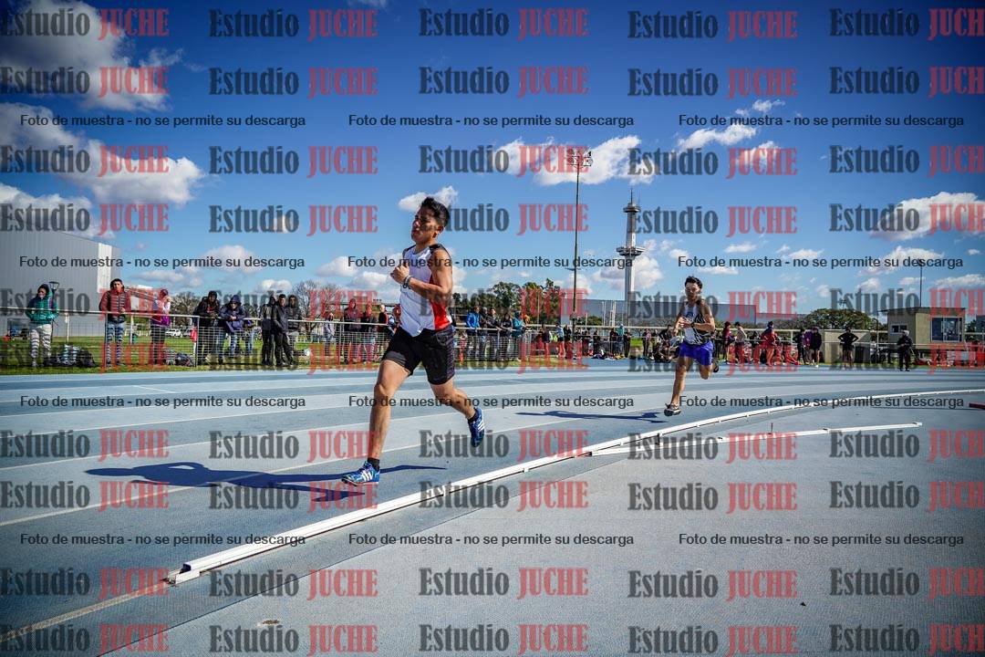 Fotos de los 800 m llanos de varones