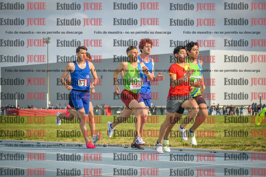 Fotos de los 800 m llanos de varones