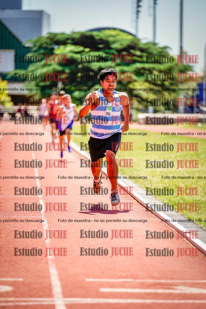 Fotos de los 800 m llanos de varones