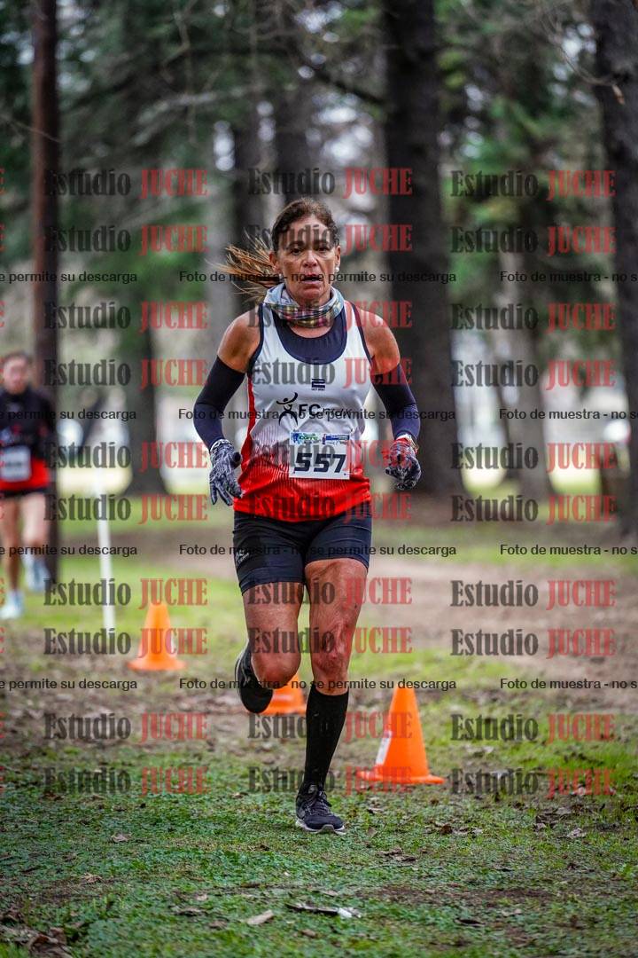 Fotos en el circuito
