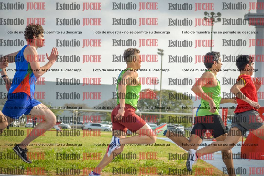 Fotos de los 800 m llanos de varones