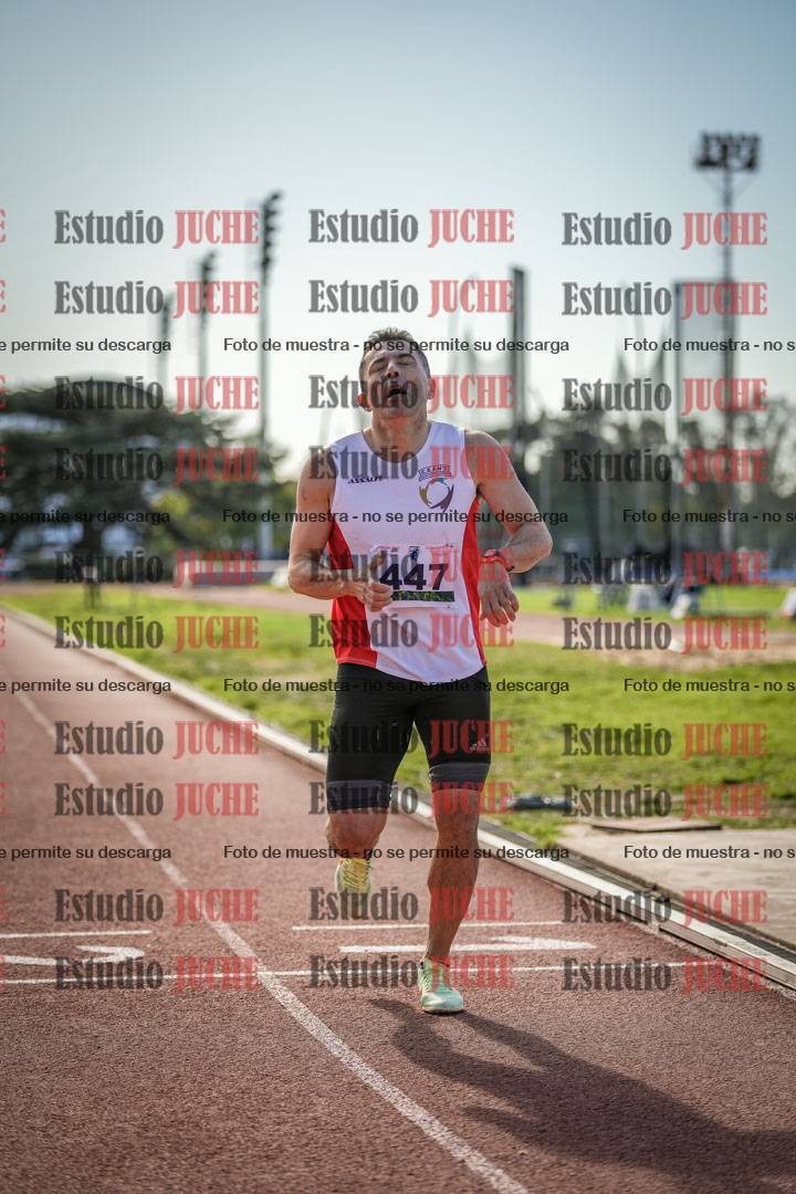 Fotos de los 800 m llanos de varones