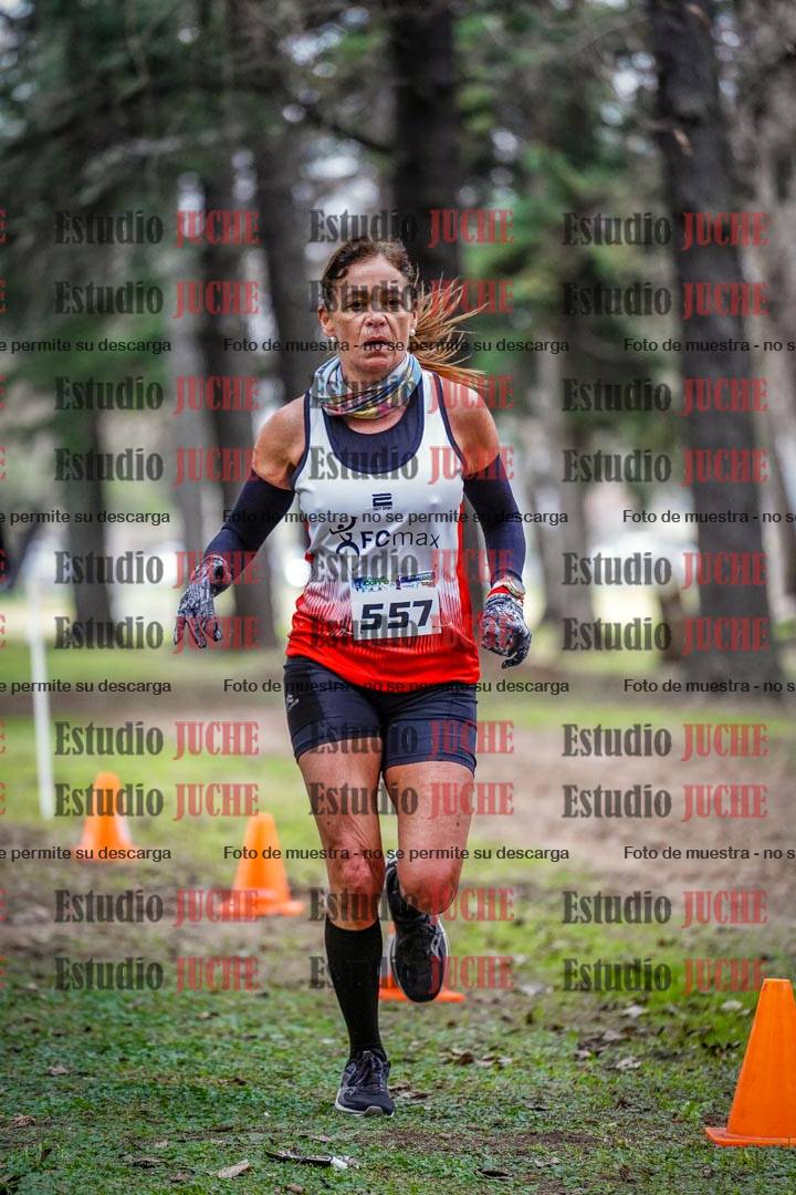Fotos en el circuito