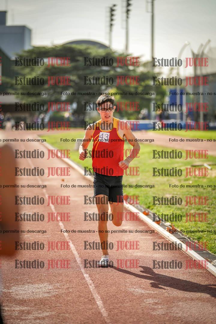 Fotos de los 800 m llanos de varones