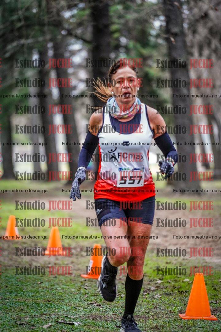 Fotos en el circuito