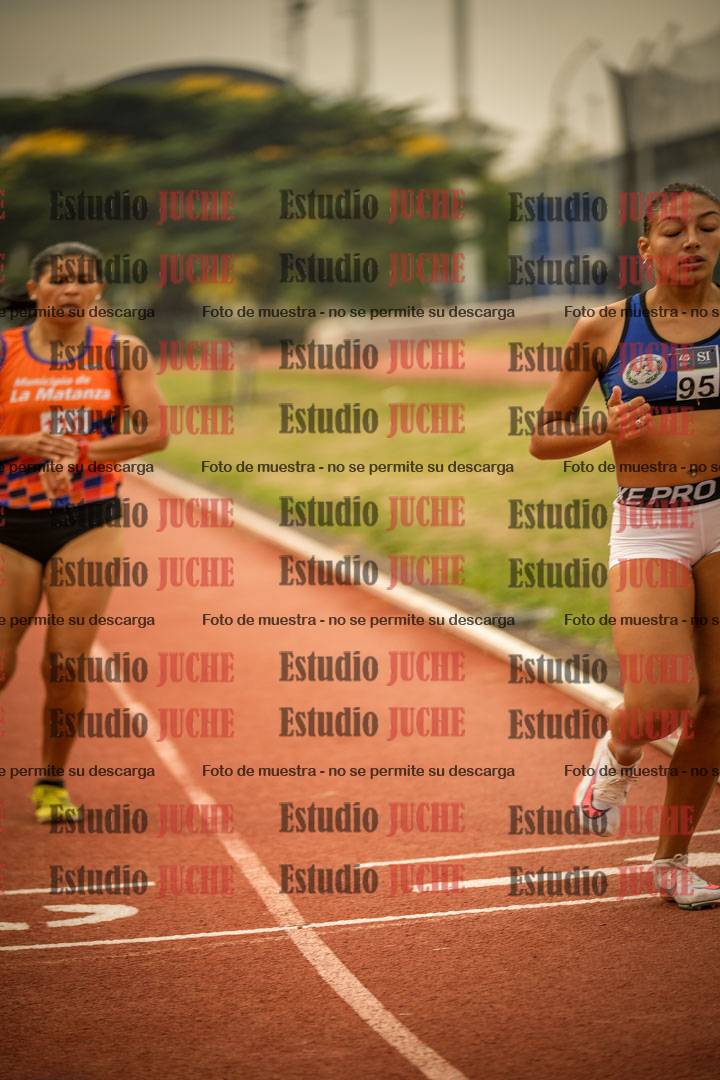 Fotos de los 800 m llanos de mujeres