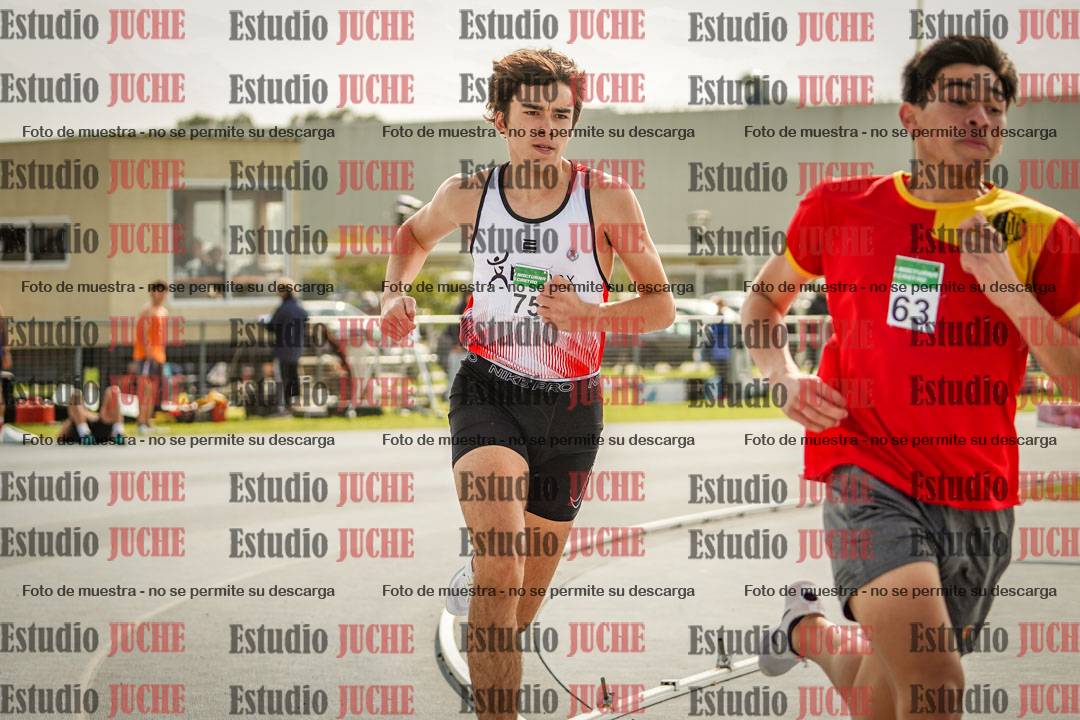 Fotos de los 800 m llanos de varones