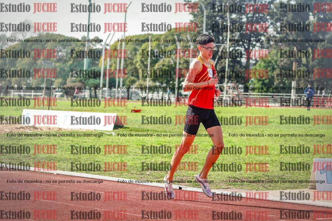 Fotos de los 800 m llanos de varones