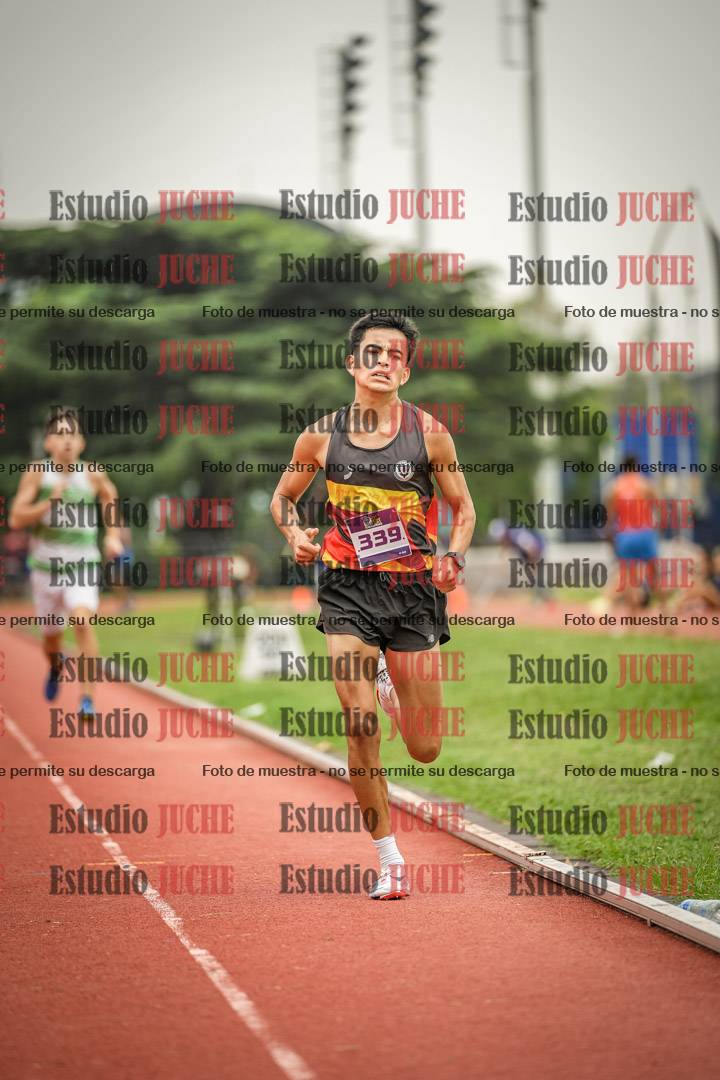 Fotos de los 800 m llanos de varones