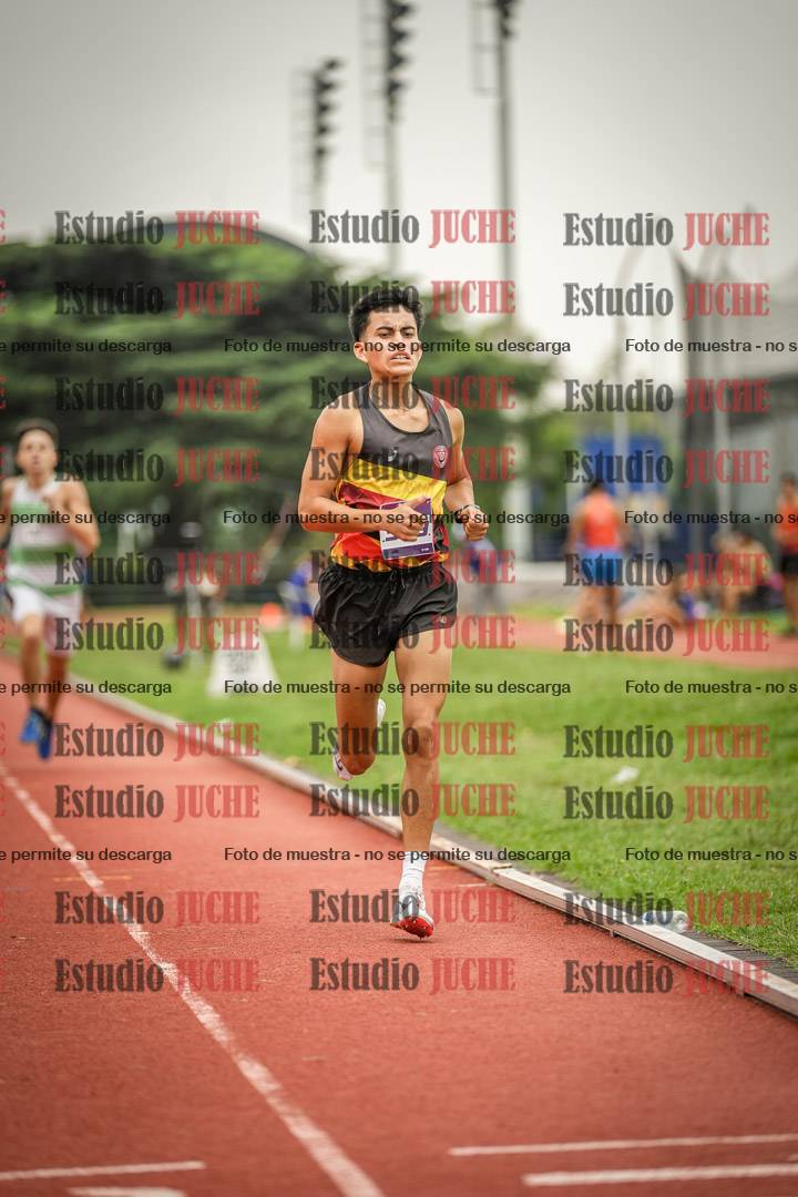 Fotos de los 800 m llanos de varones