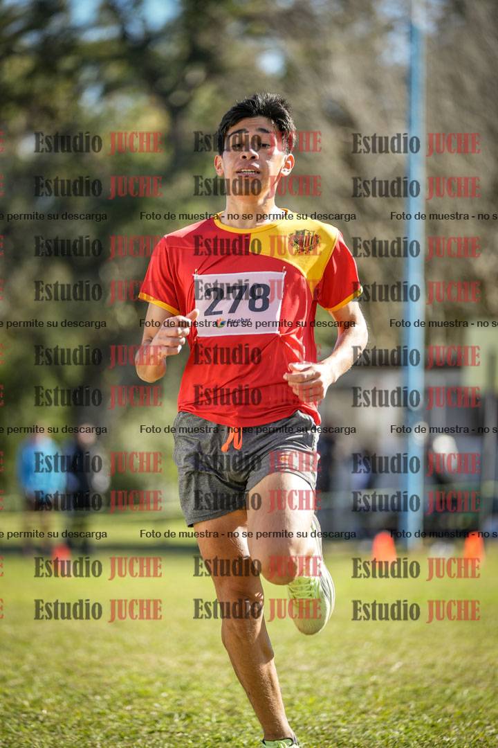 Fotos de la llegada del cross de 3000 m