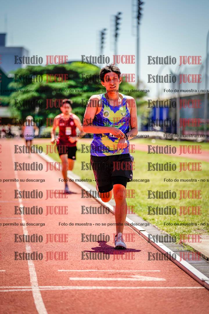 Fotos de los 800 m llanos de varones