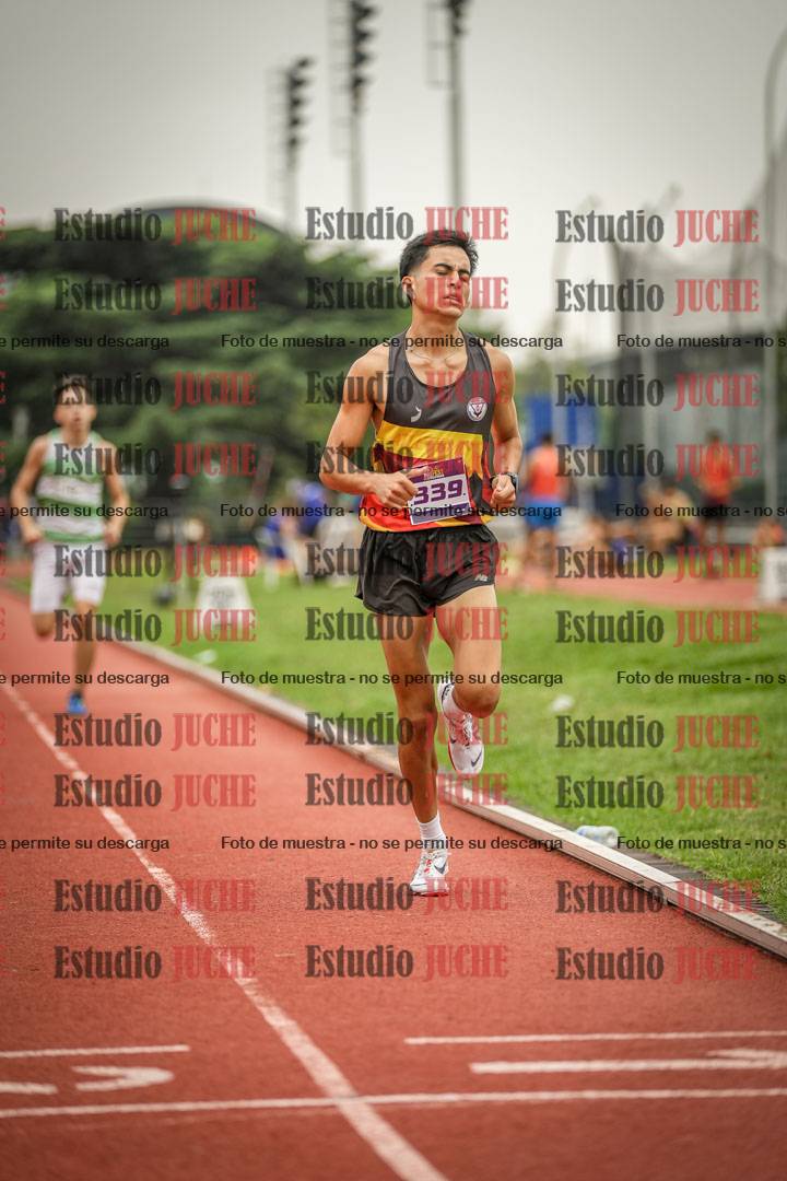 Fotos de los 800 m llanos de varones