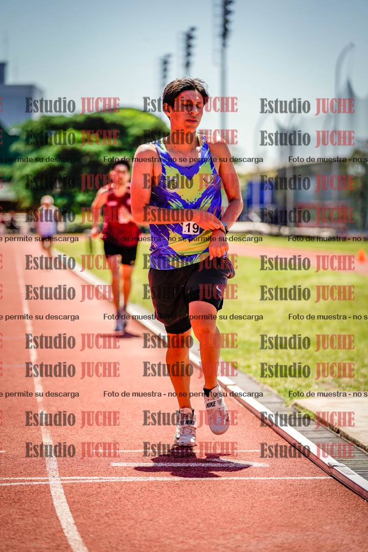 Fotos de los 800 m llanos de varones