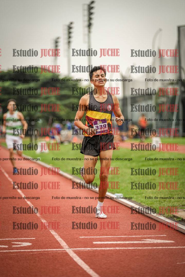 Fotos de los 800 m llanos de varones