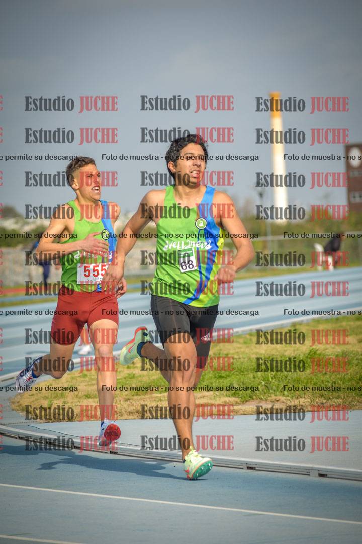 Fotos de los 800 m llanos de varones
