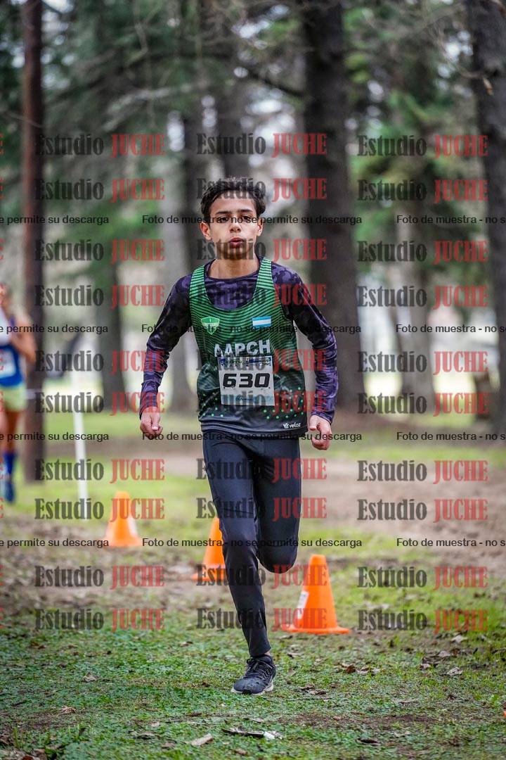 Fotos en el circuito