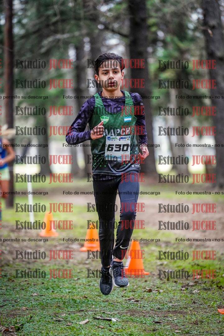 Fotos en el circuito