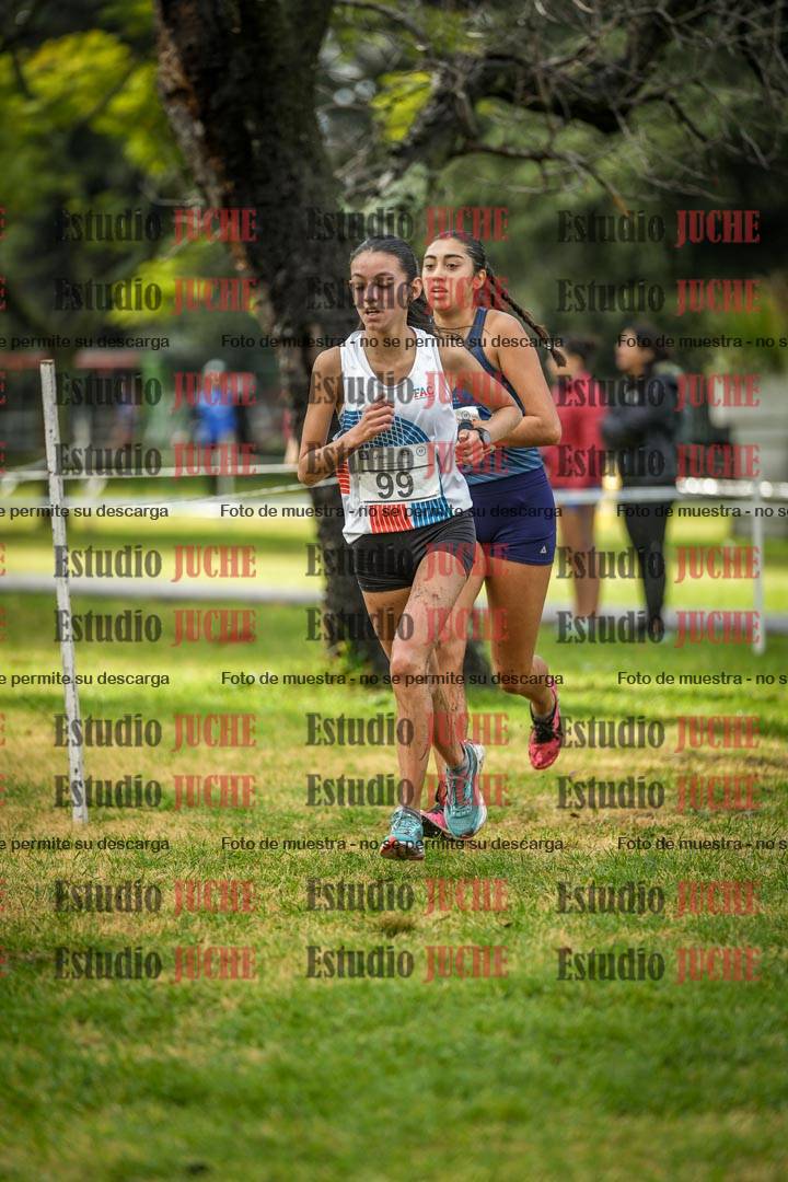 Fotos en el circuito