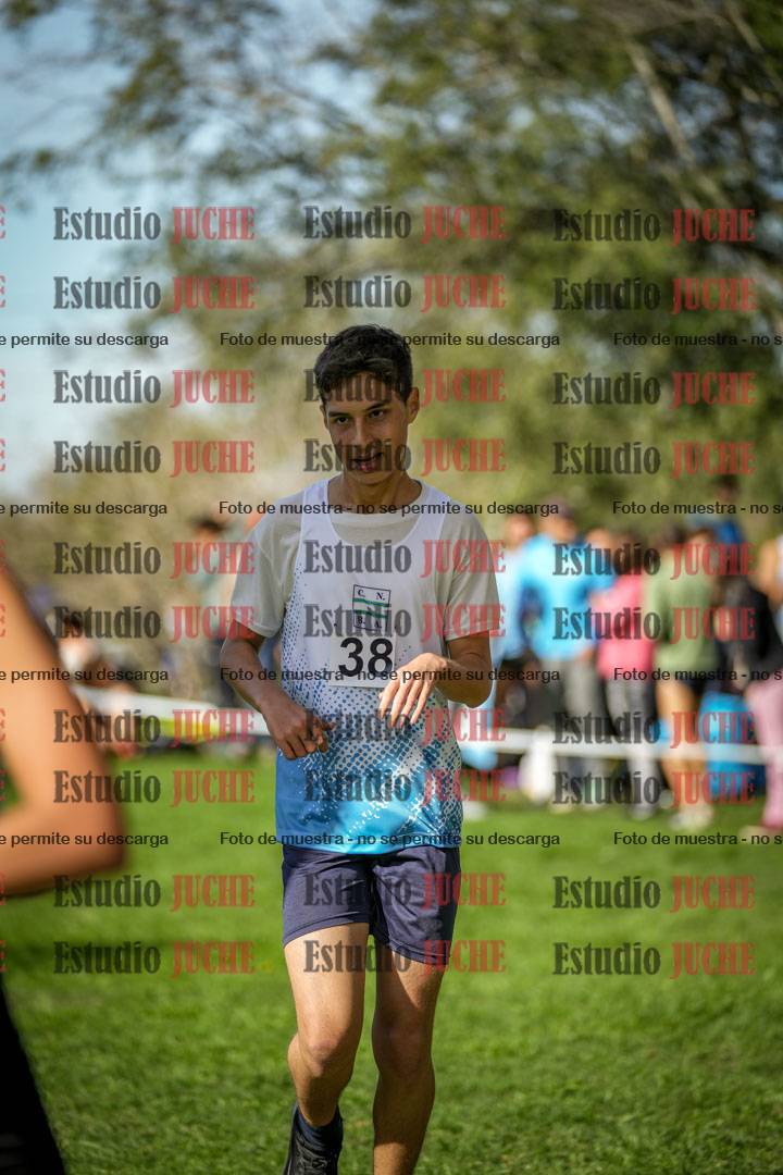 Fotos de la llegada del cross de 3000 m
