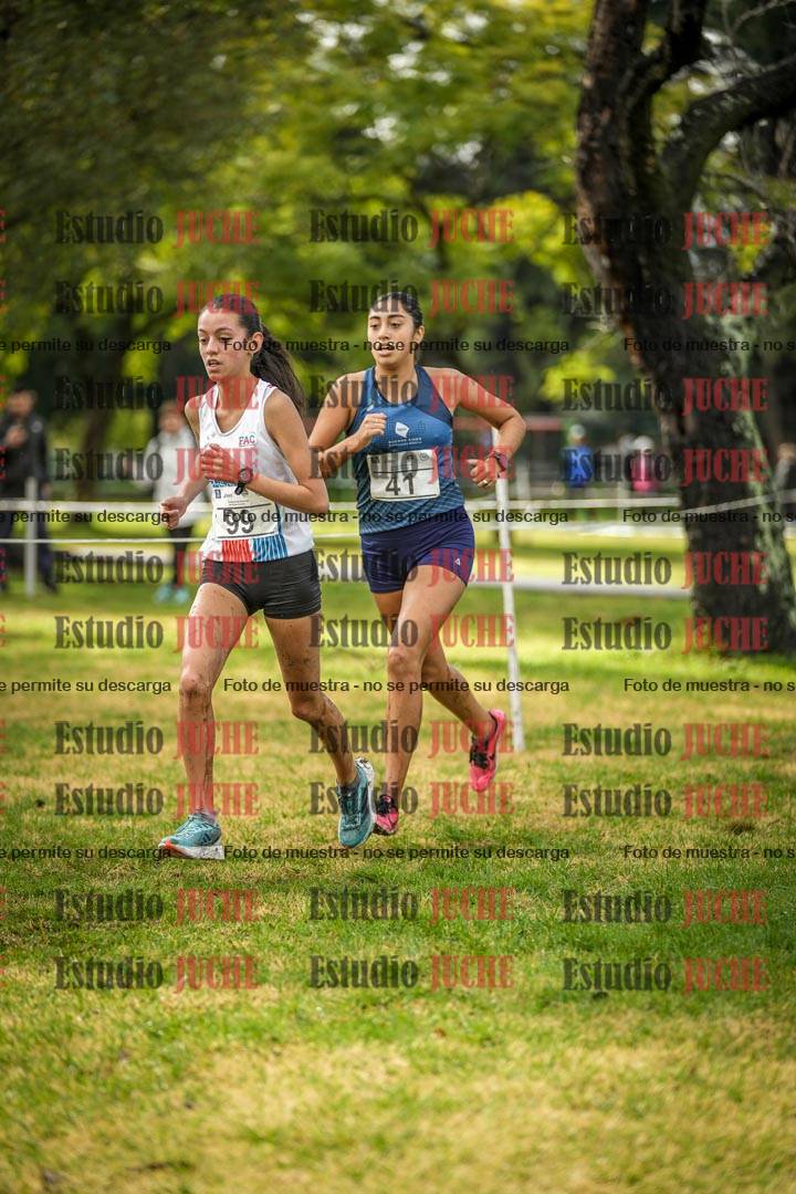 Fotos en el circuito