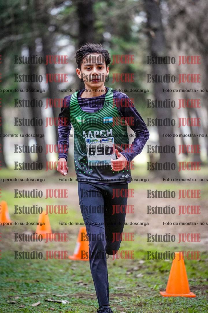 Fotos en el circuito