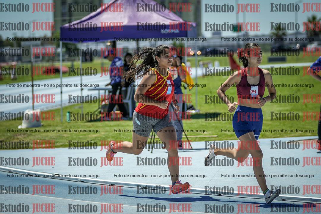 Fotos de los 800 m llanos de mujeres