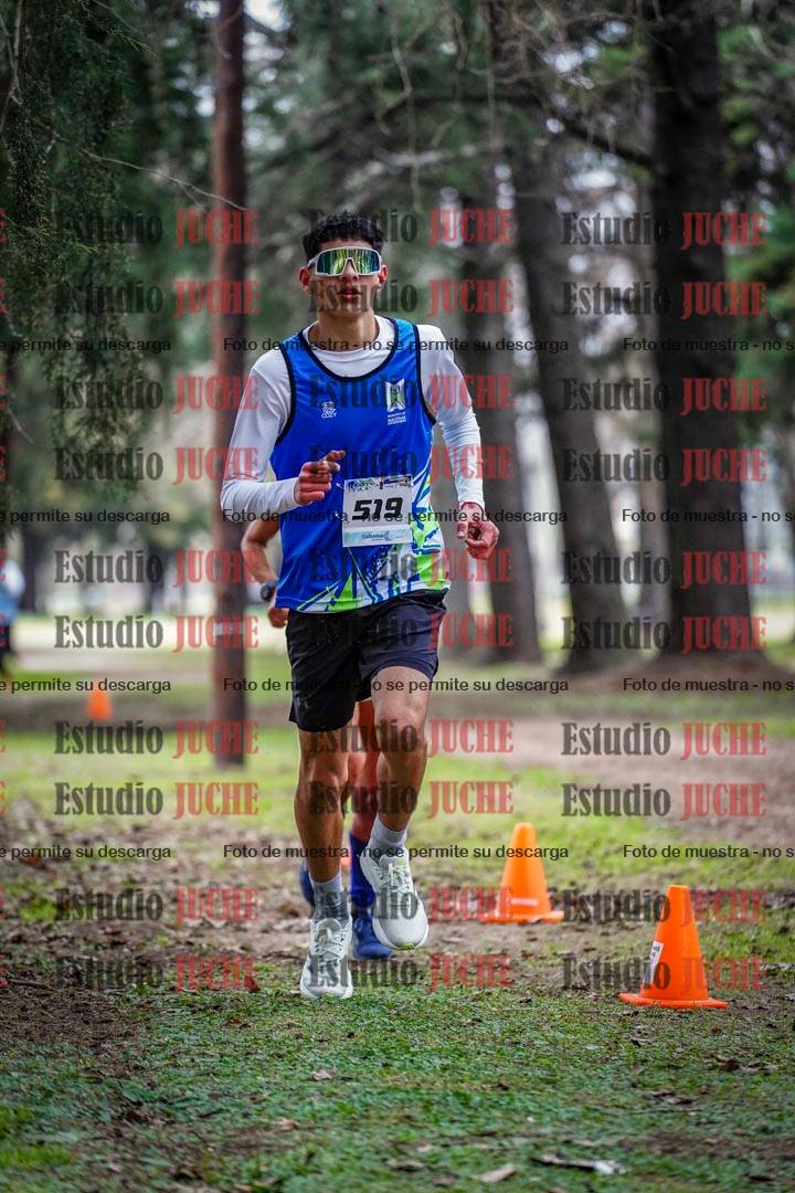 Fotos en el circuito
