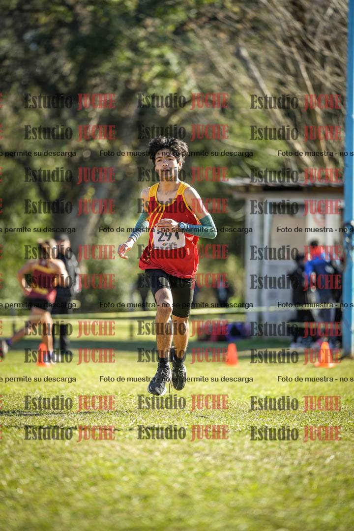 Fotos de la llegada del cross de 3000 m