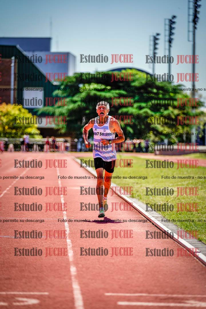 Fotos de los 800 m llanos de varones