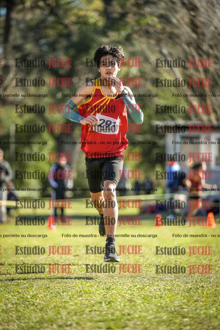 Fotos de la llegada del cross de 3000 m