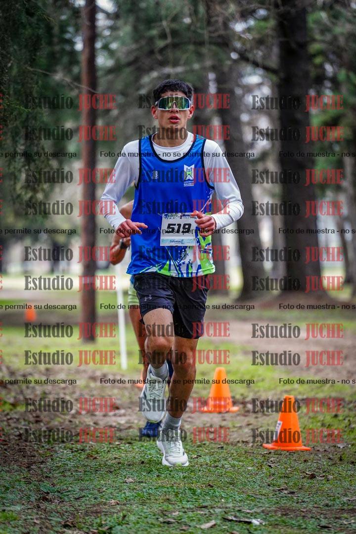 Fotos en el circuito