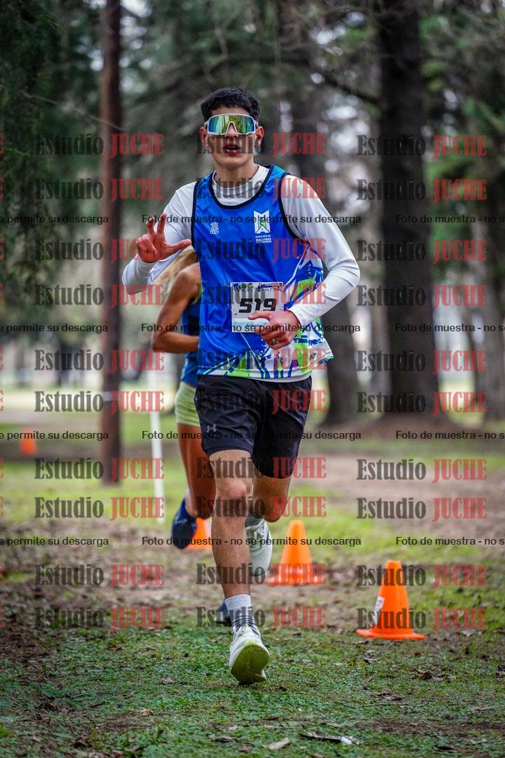 Fotos en el circuito