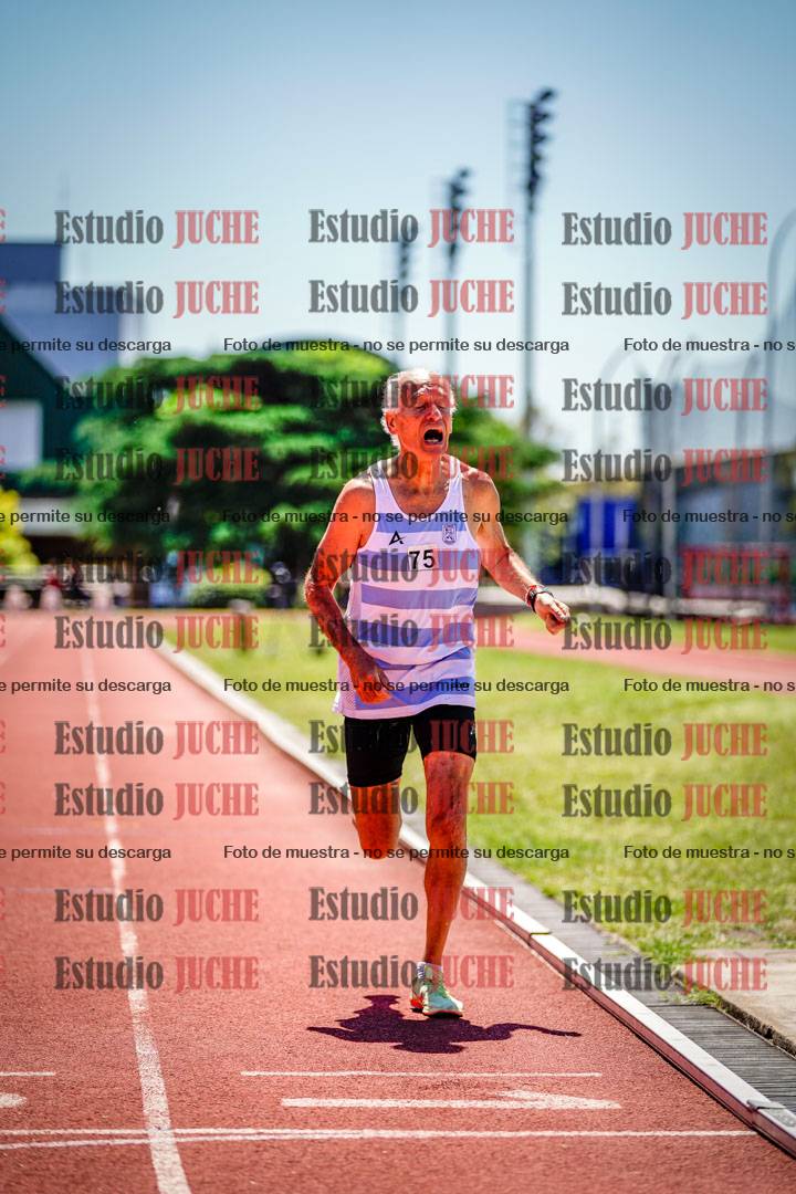Fotos de los 800 m llanos de varones