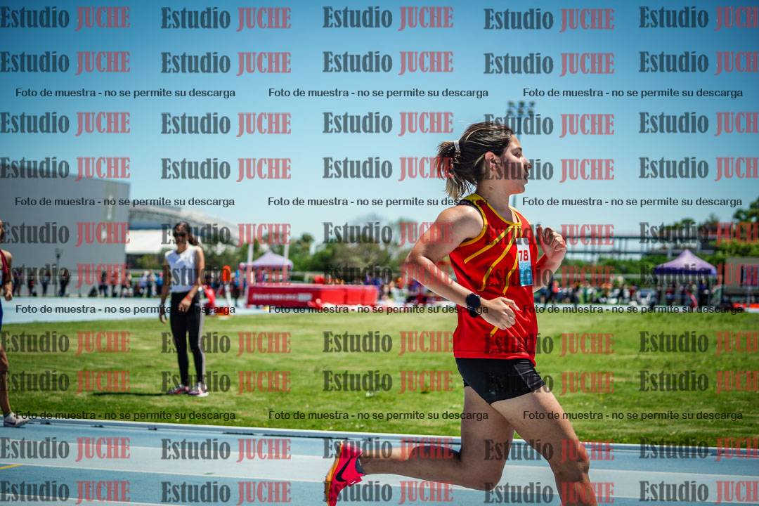 Fotos de los 800 m llanos de mujeres