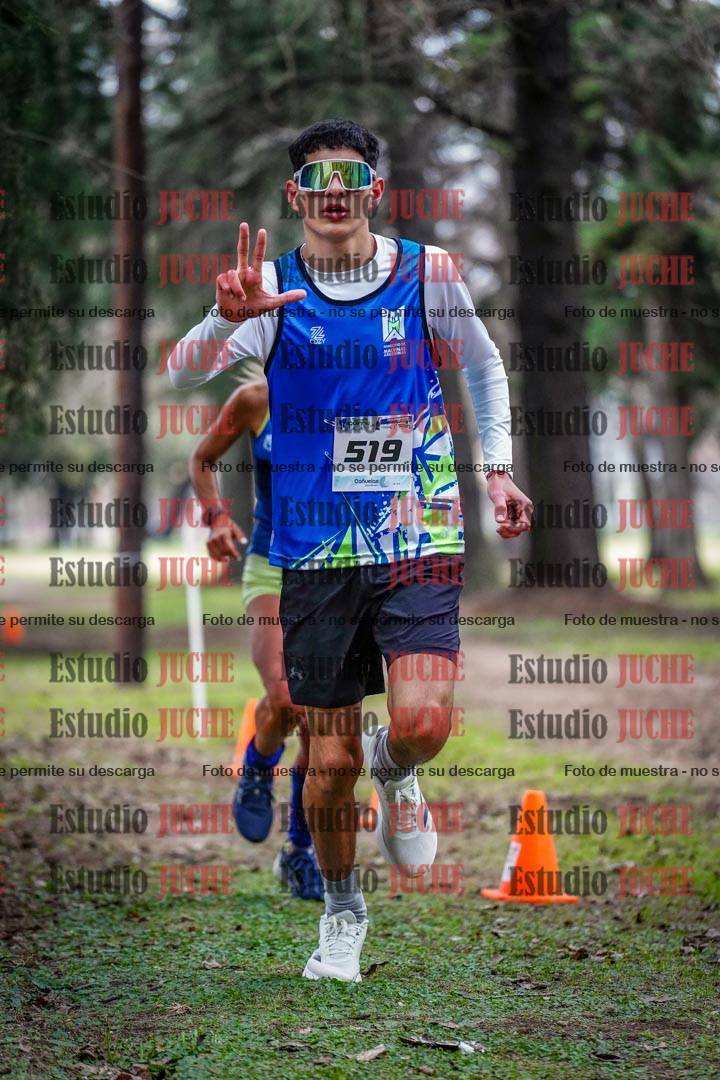 Fotos en el circuito
