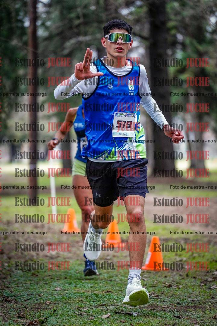 Fotos en el circuito