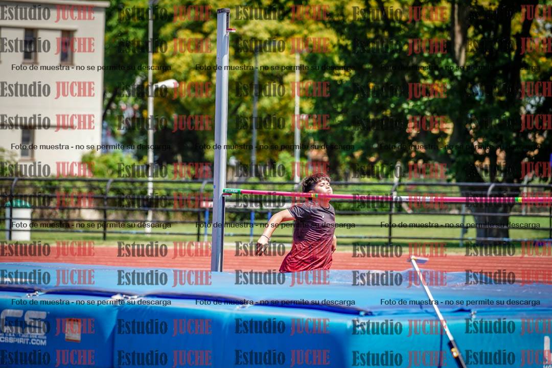 Fotos del salto en alto de varones