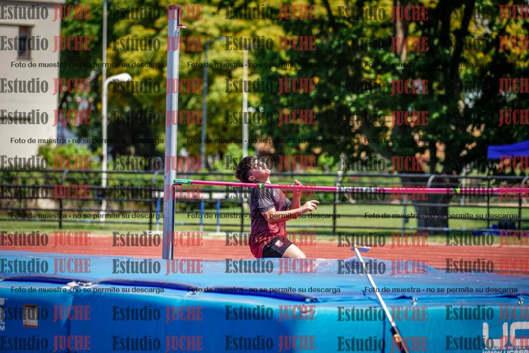 Fotos del salto en alto de varones