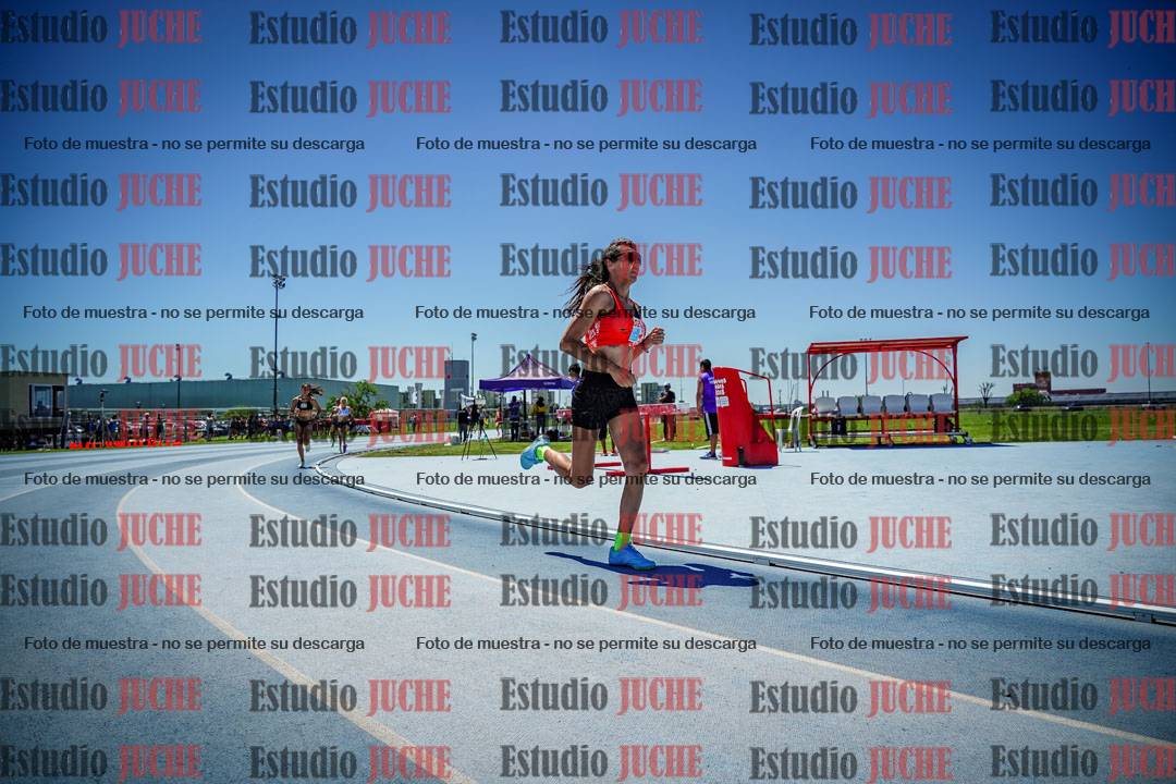 Fotos de los 800 m llanos de mujeres
