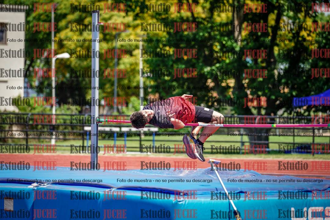 Fotos del salto en alto de varones