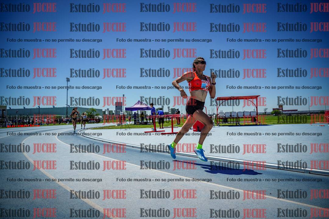 Fotos de los 800 m llanos de mujeres