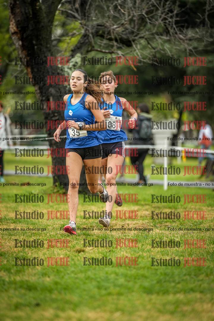 Fotos en el circuito