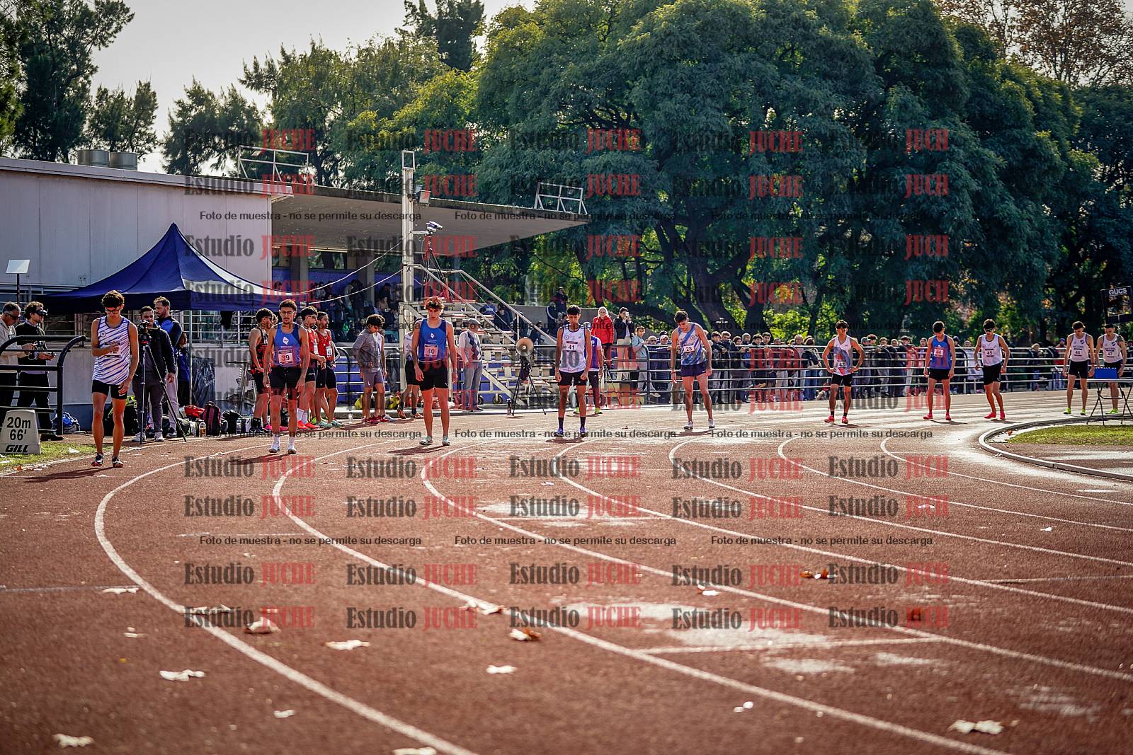 Fotos de los 800 m de varones