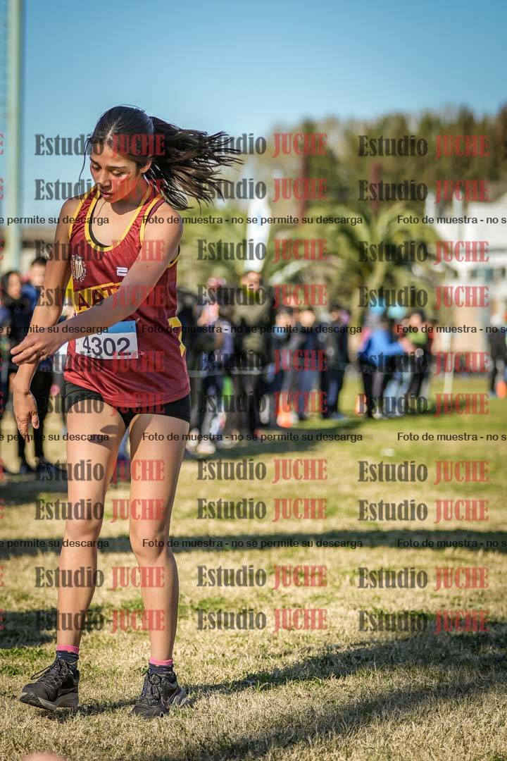 Fotos de las llegadas