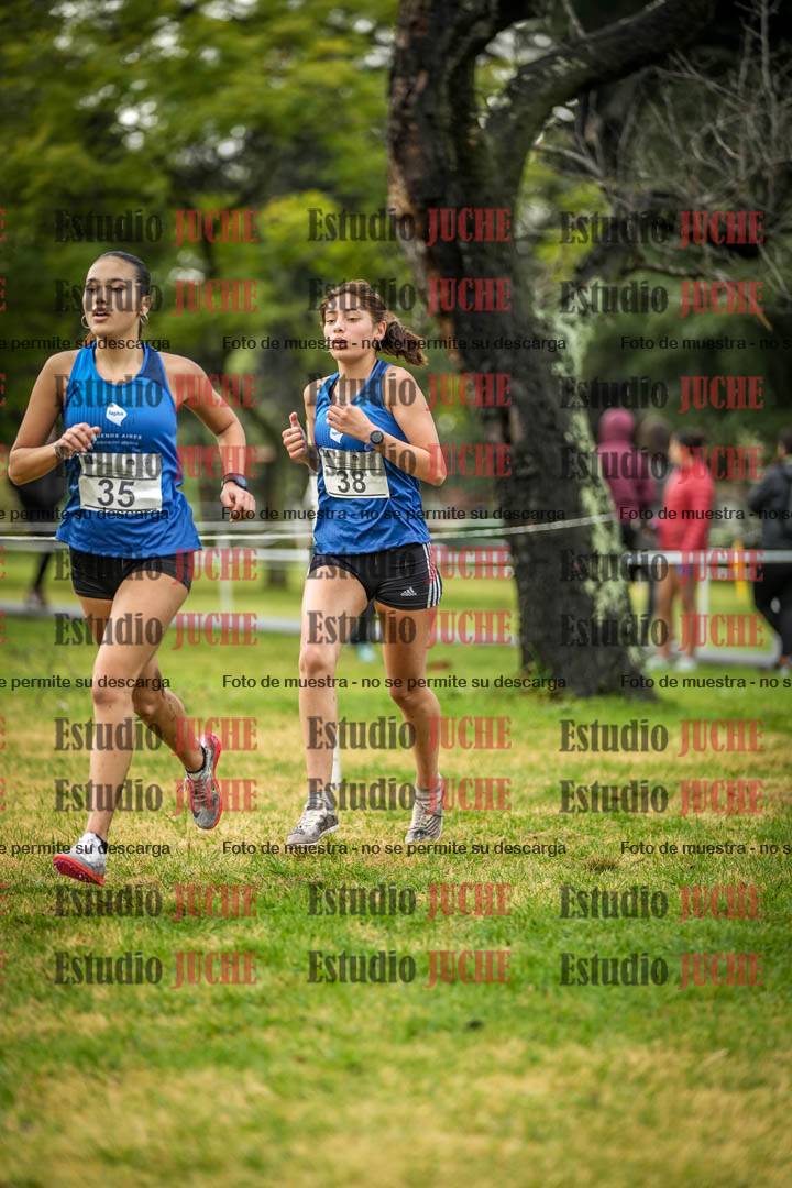 Fotos en el circuito