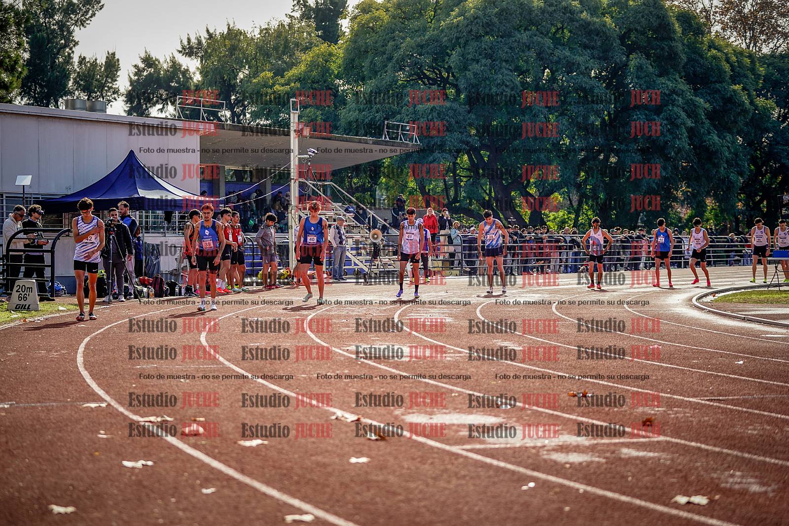 Fotos de los 800 m de varones